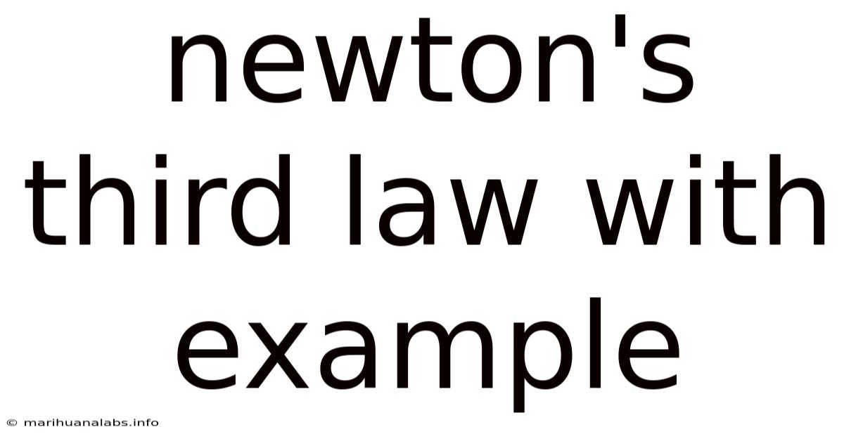 Newton's Third Law With Example
