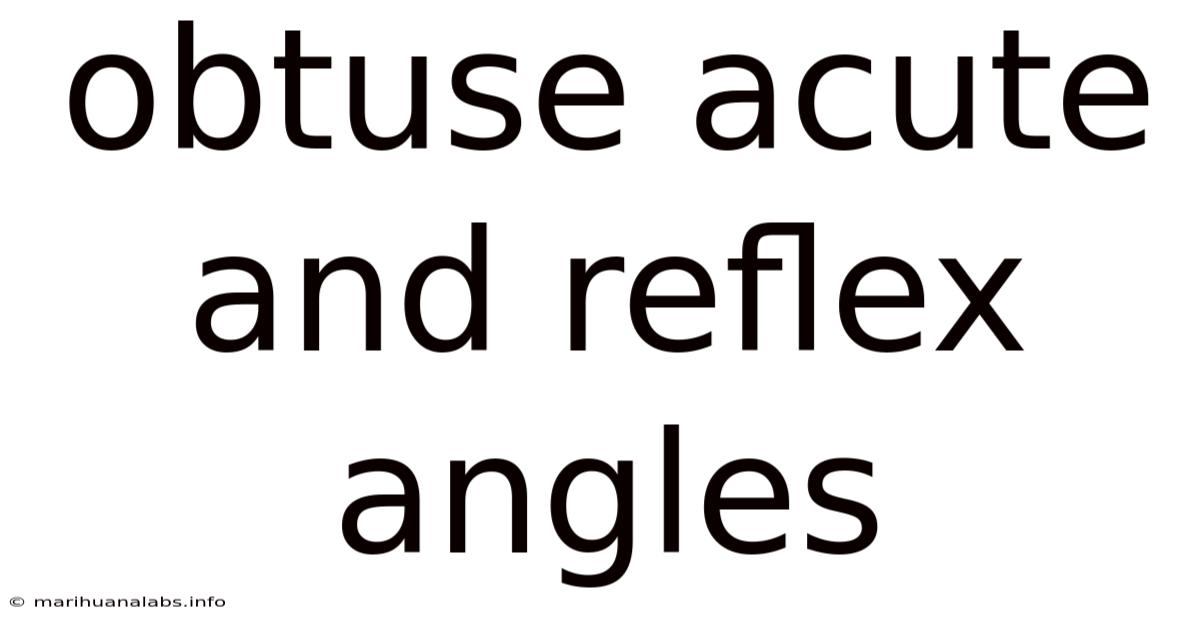 Obtuse Acute And Reflex Angles