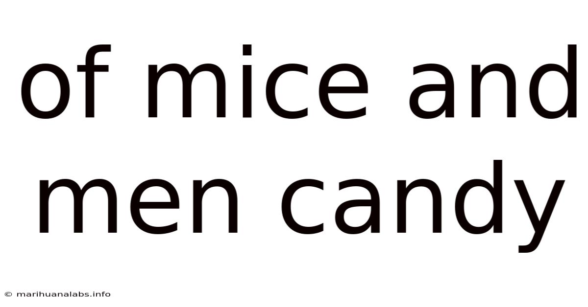 Of Mice And Men Candy
