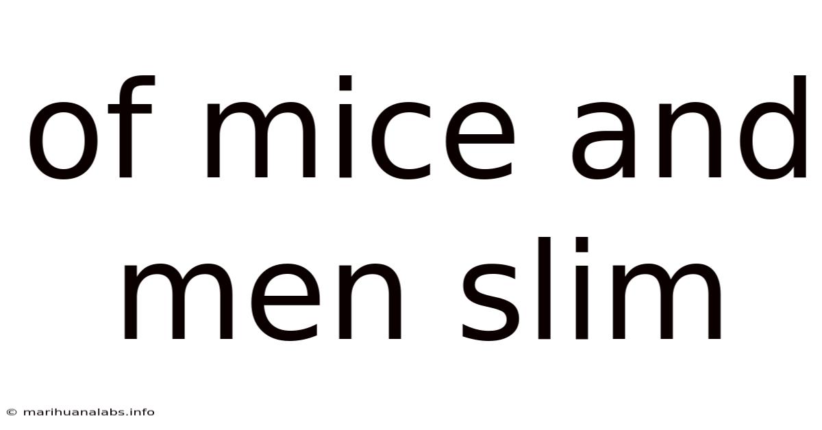 Of Mice And Men Slim