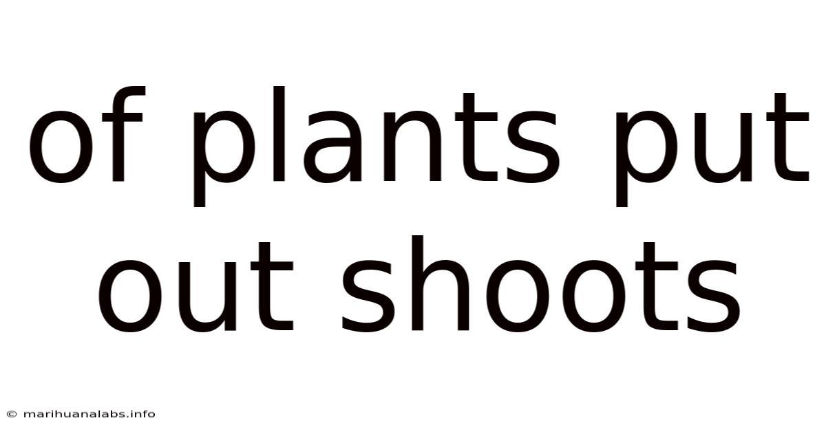 Of Plants Put Out Shoots