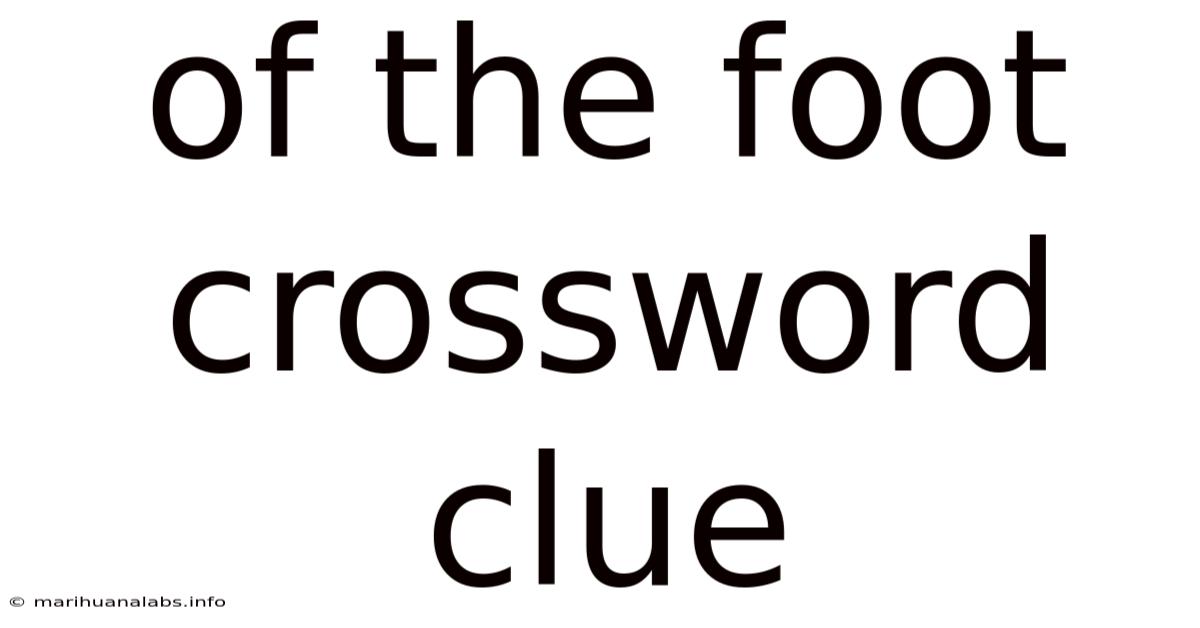 Of The Foot Crossword Clue