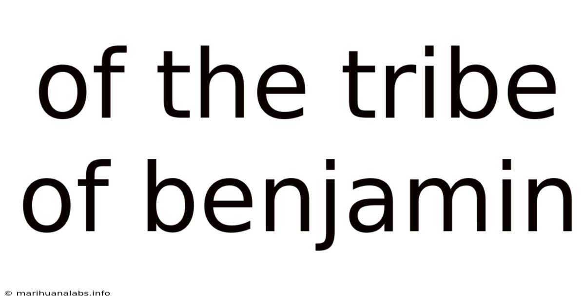 Of The Tribe Of Benjamin