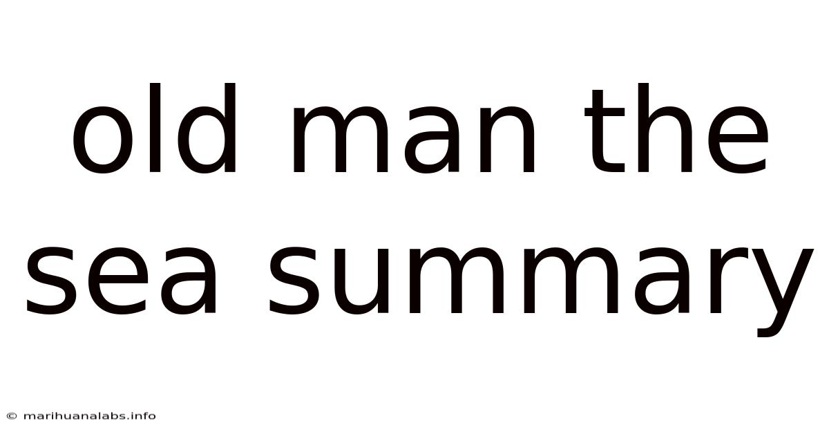 Old Man The Sea Summary