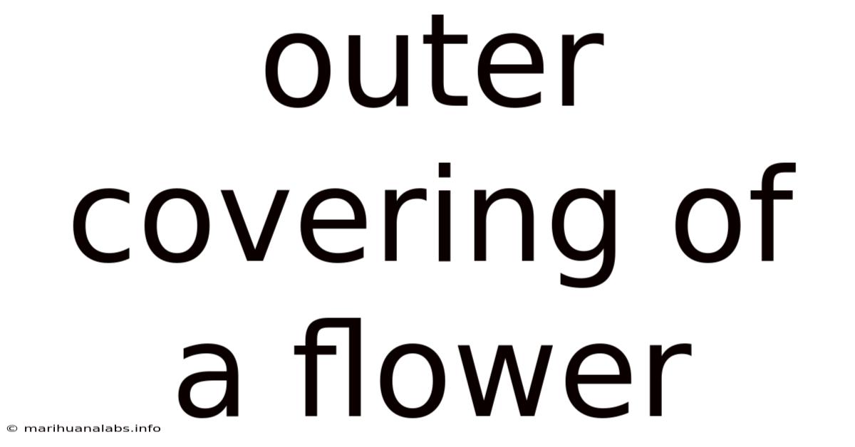 Outer Covering Of A Flower