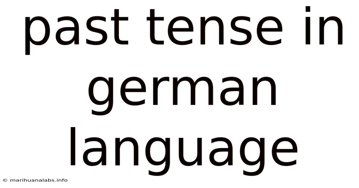 Past Tense In German Language