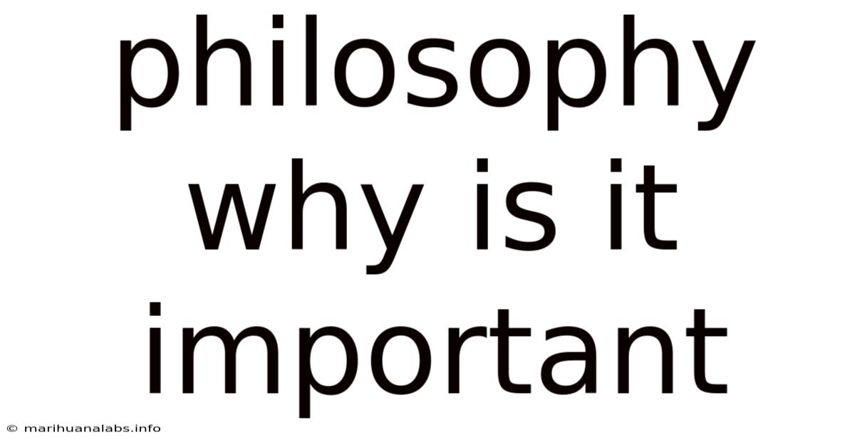 Philosophy Why Is It Important