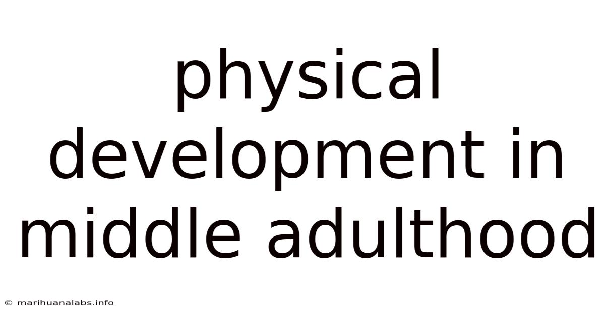 Physical Development In Middle Adulthood