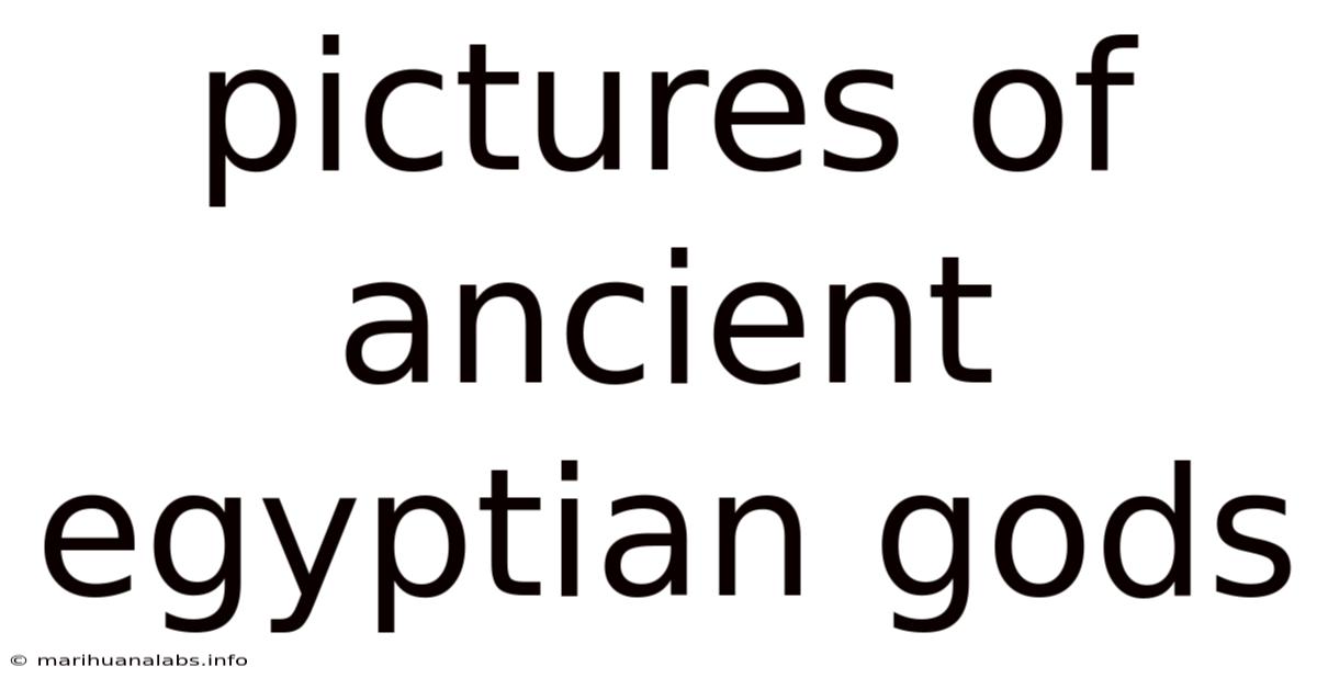 Pictures Of Ancient Egyptian Gods