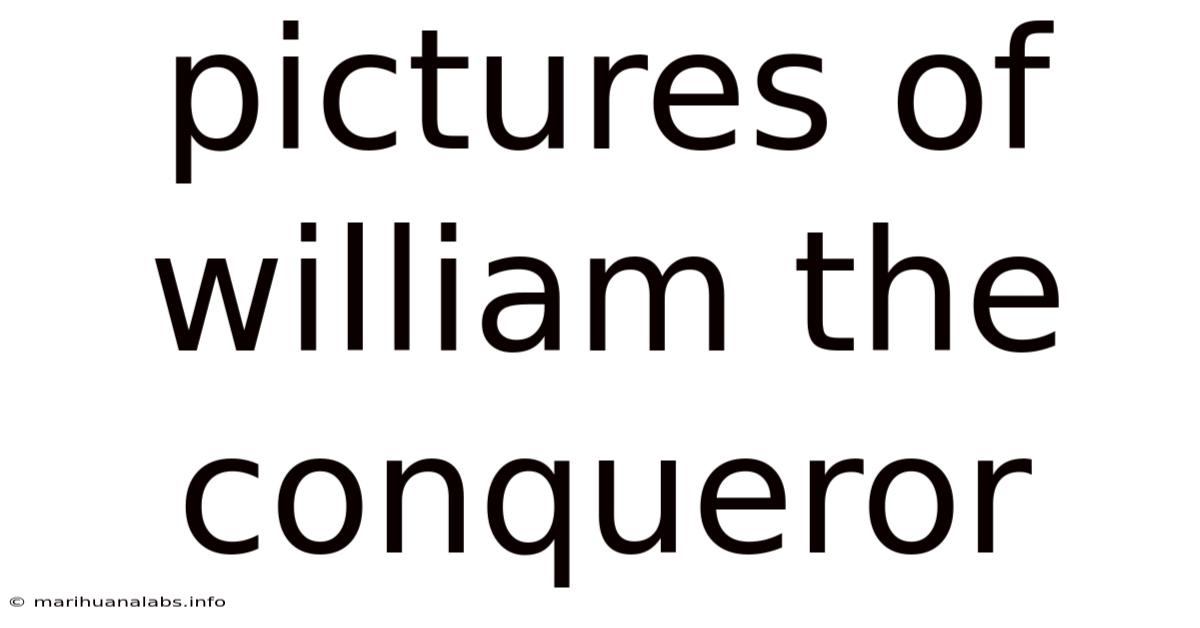 Pictures Of William The Conqueror