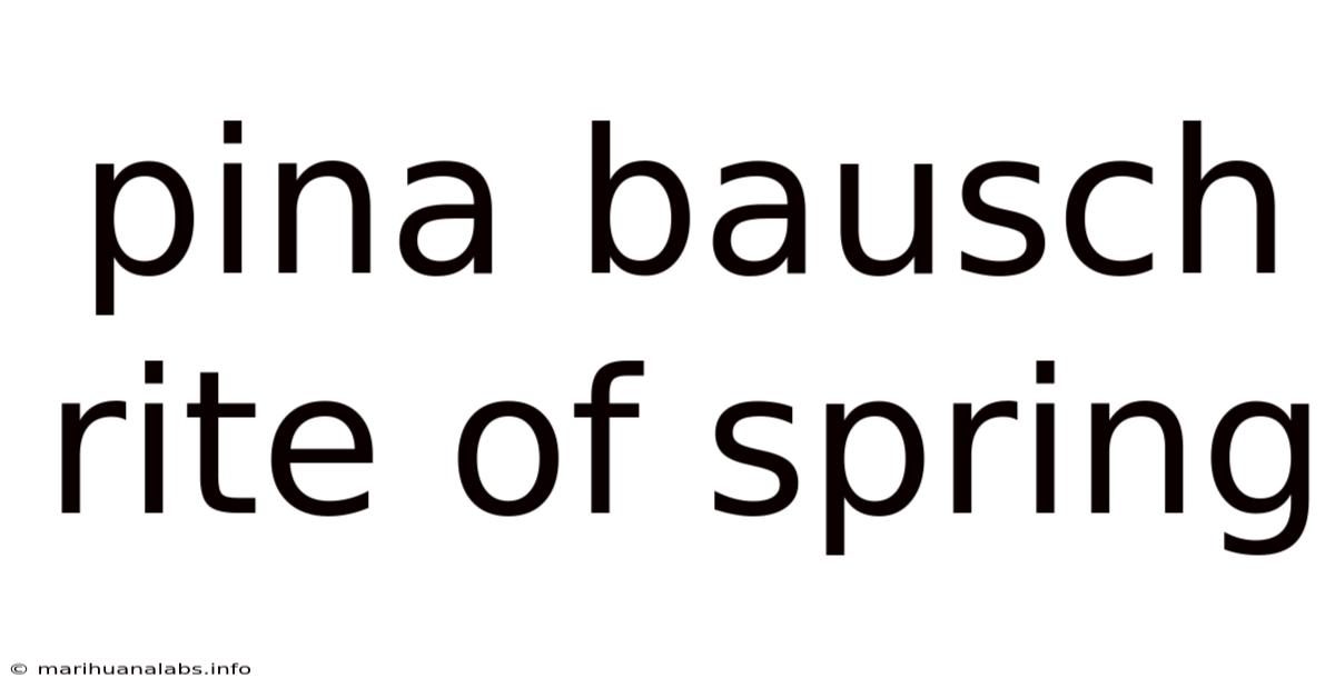 Pina Bausch Rite Of Spring