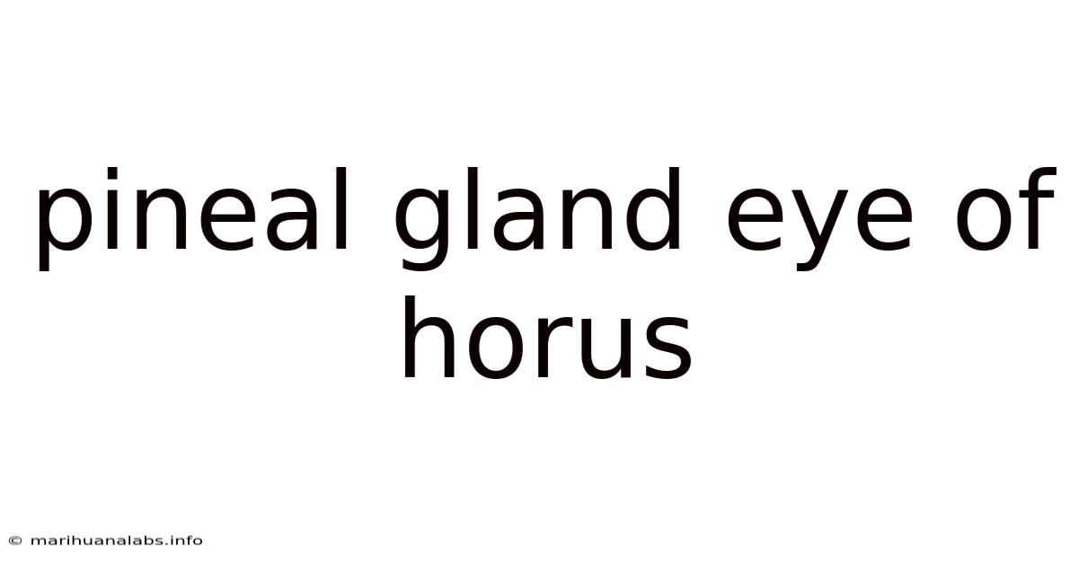 Pineal Gland Eye Of Horus