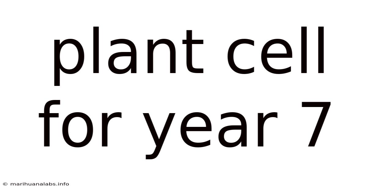 Plant Cell For Year 7