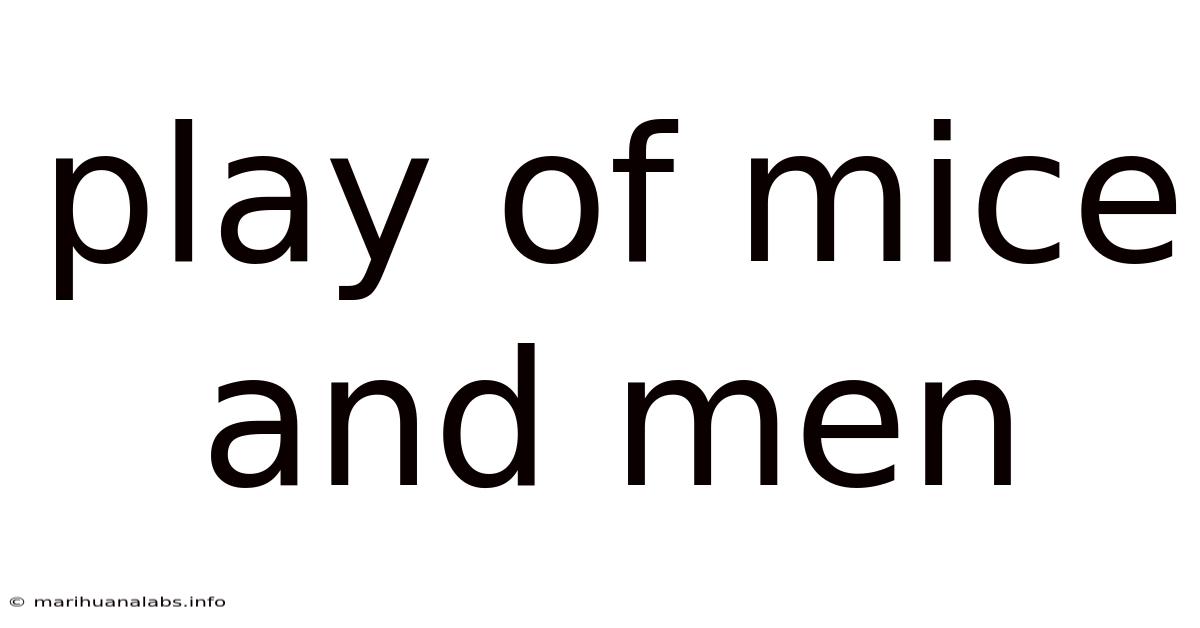 Play Of Mice And Men