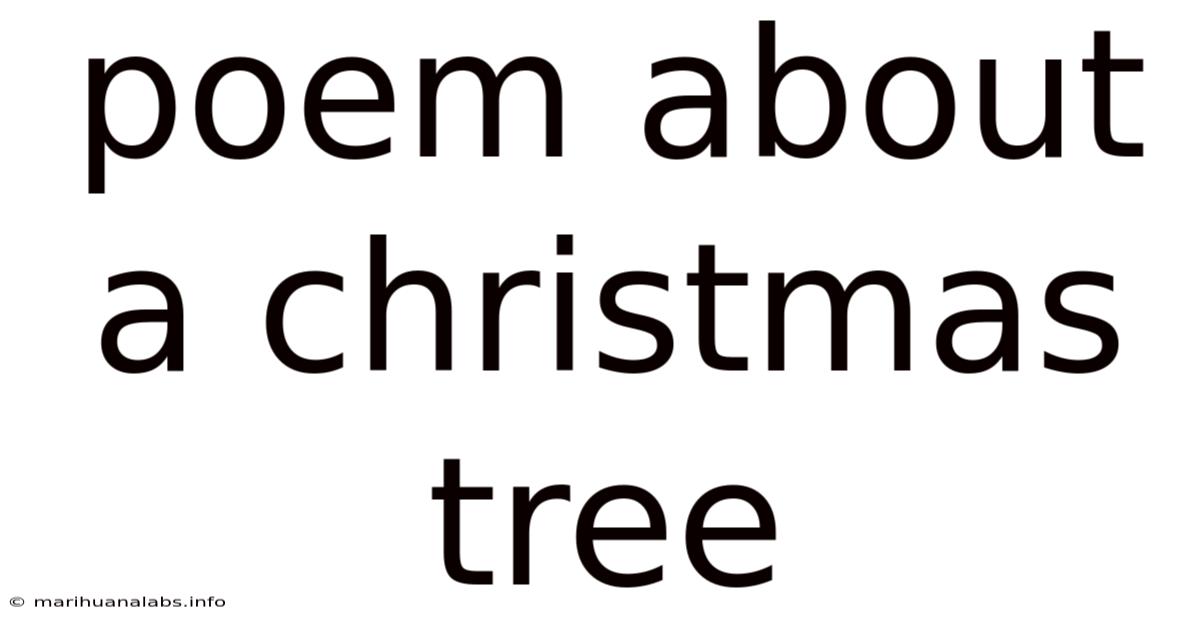 Poem About A Christmas Tree