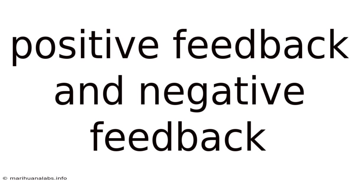 Positive Feedback And Negative Feedback