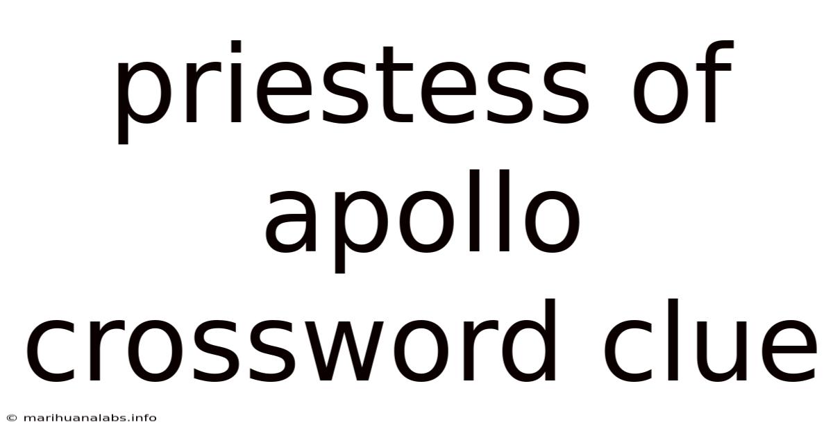 Priestess Of Apollo Crossword Clue