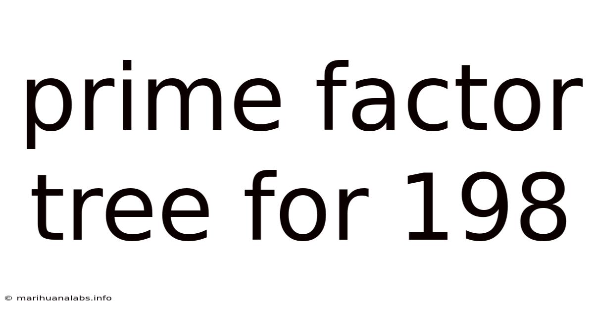 Prime Factor Tree For 198