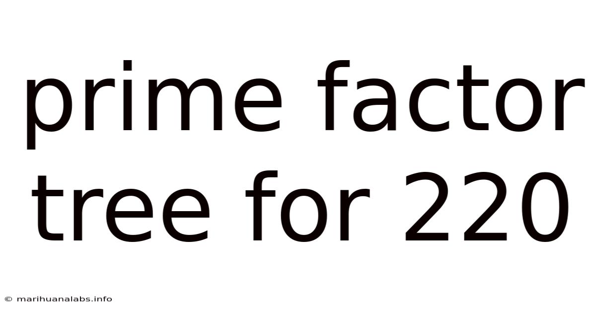 Prime Factor Tree For 220