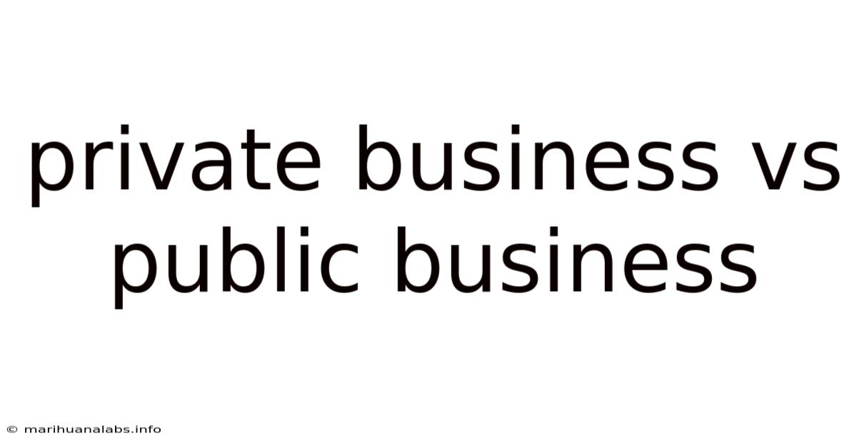 Private Business Vs Public Business