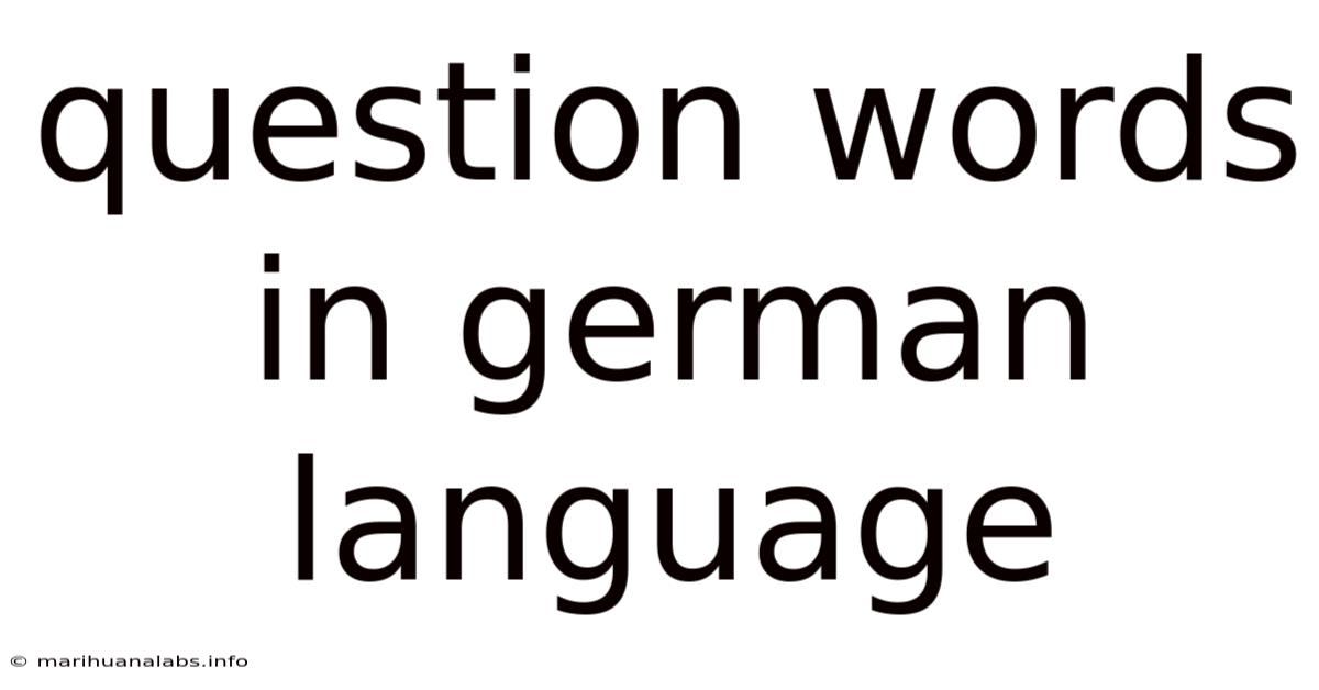 Question Words In German Language