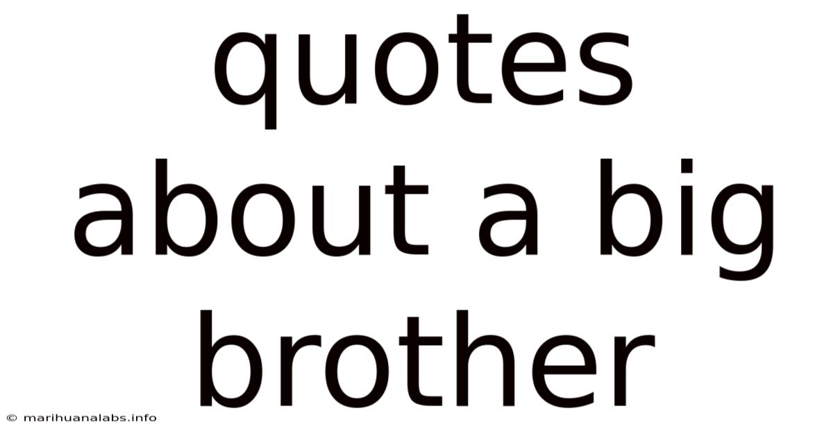 Quotes About A Big Brother