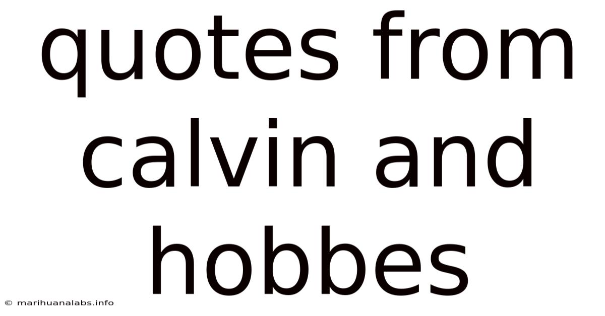 Quotes From Calvin And Hobbes