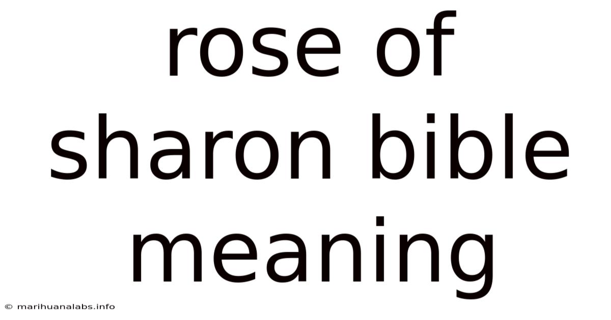 Rose Of Sharon Bible Meaning