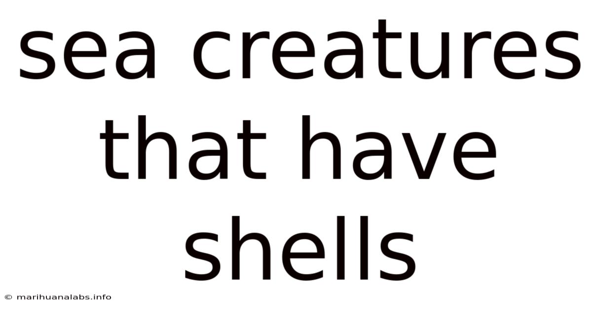 Sea Creatures That Have Shells