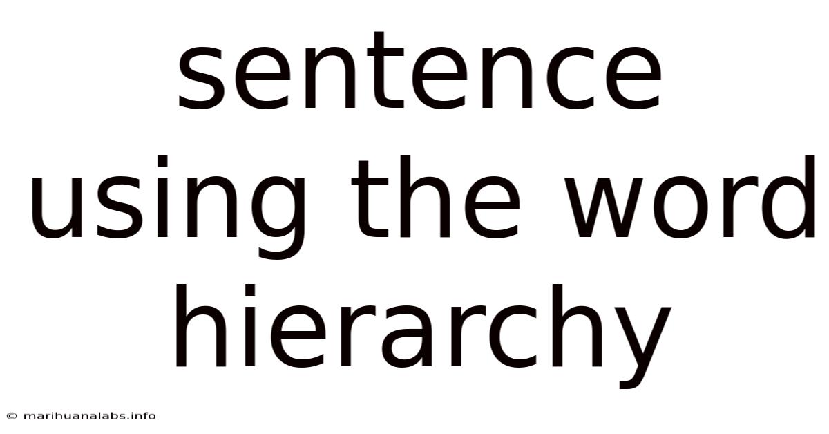 Sentence Using The Word Hierarchy