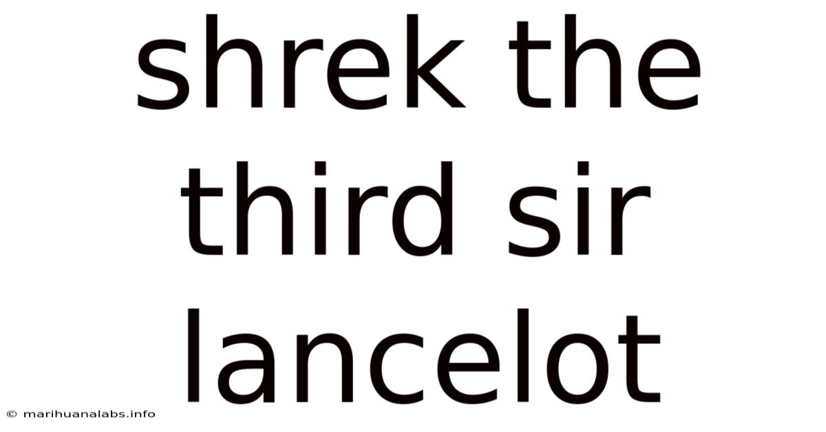 Shrek The Third Sir Lancelot