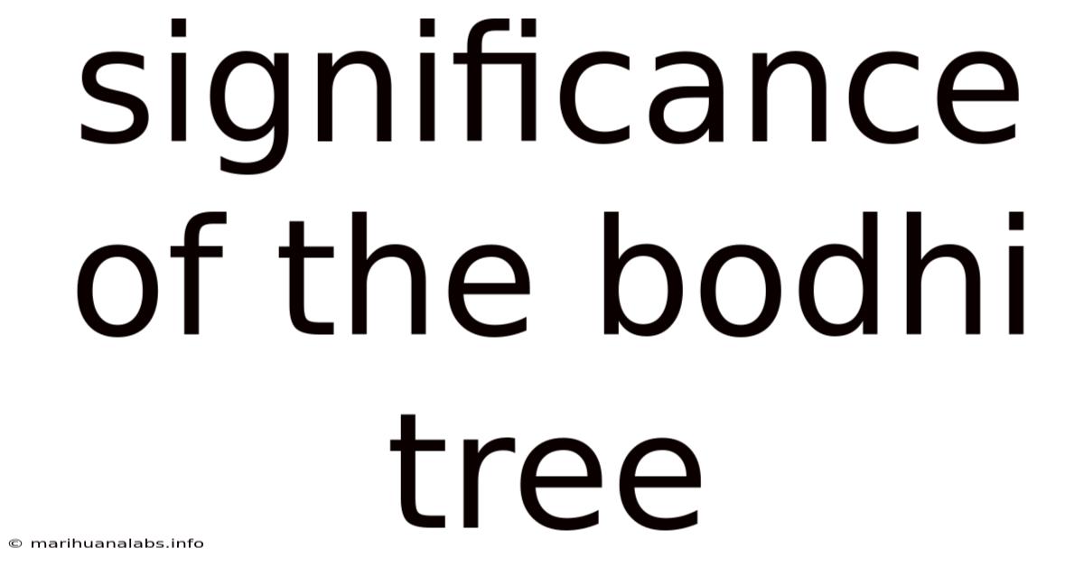 Significance Of The Bodhi Tree