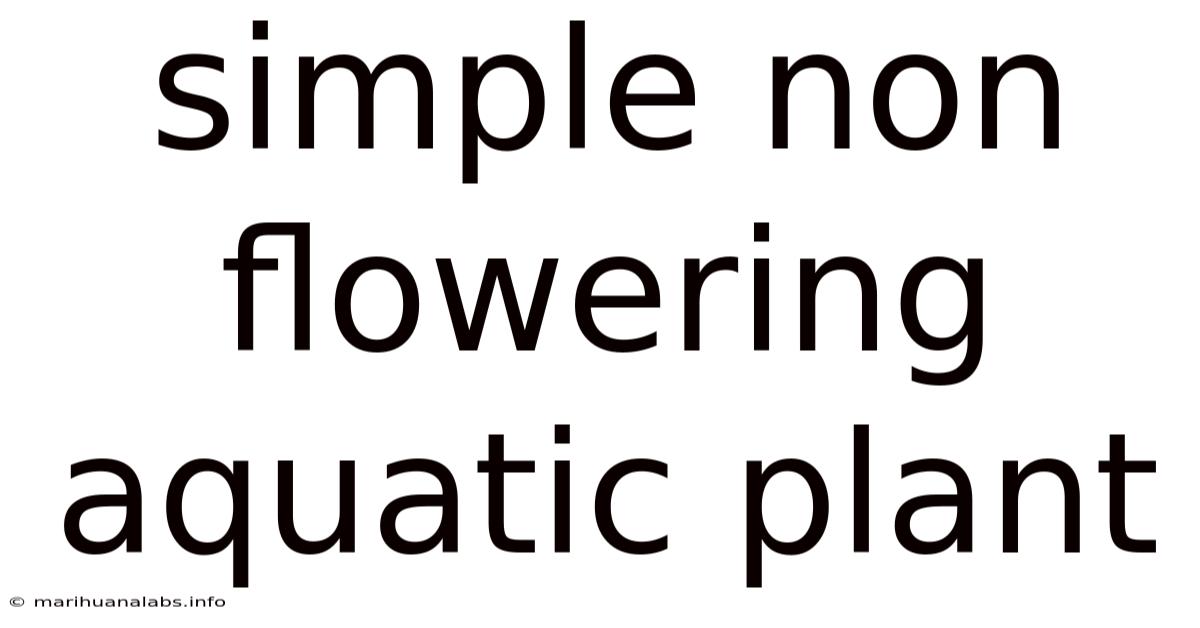 Simple Non Flowering Aquatic Plant