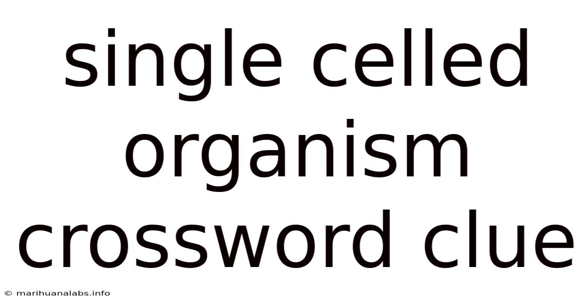 Single Celled Organism Crossword Clue