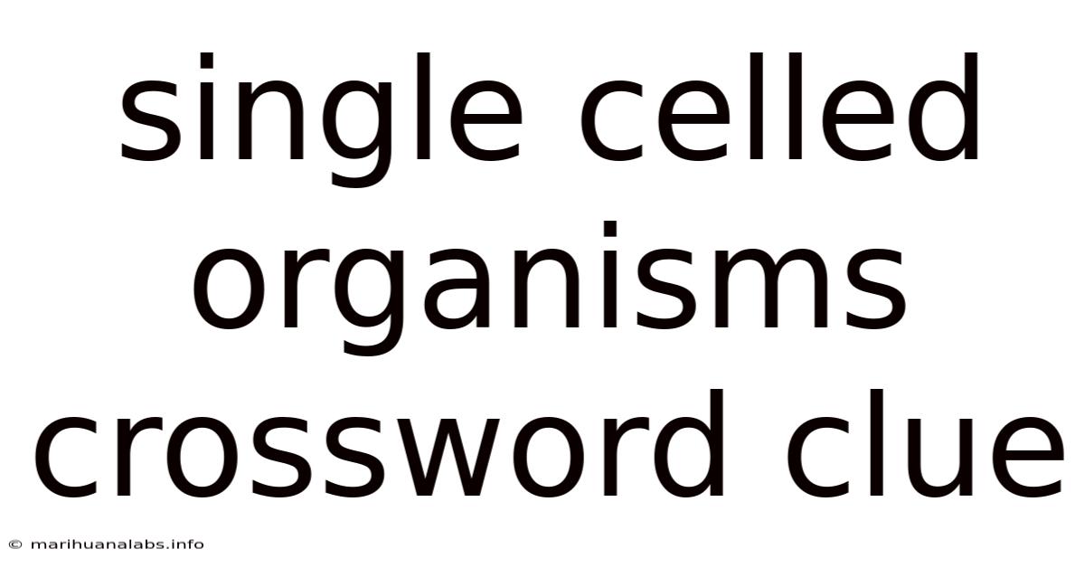 Single Celled Organisms Crossword Clue