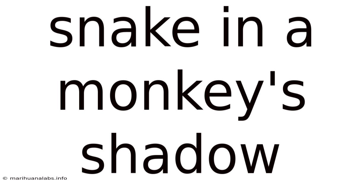 Snake In A Monkey's Shadow