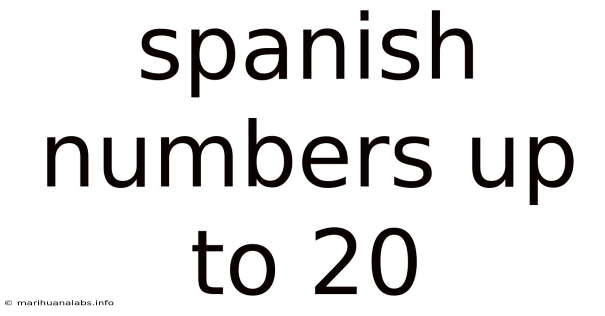 Spanish Numbers Up To 20