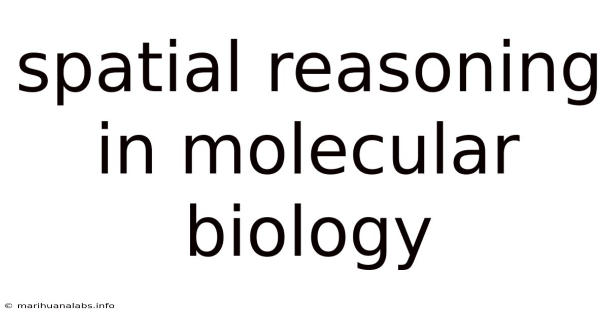 Spatial Reasoning In Molecular Biology