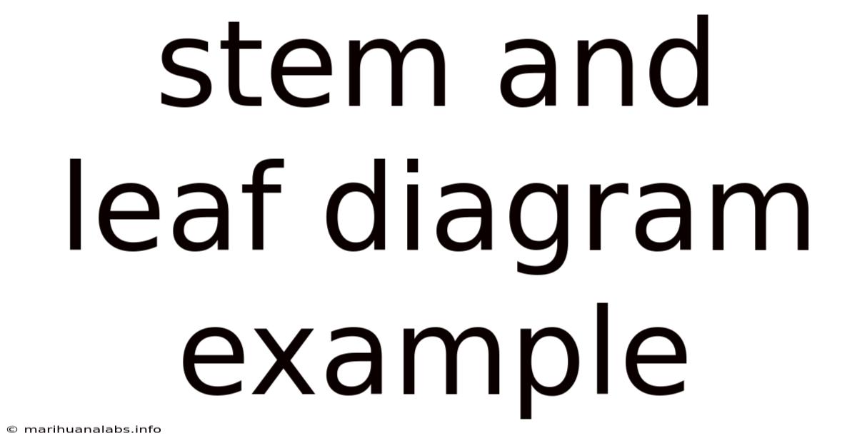 Stem And Leaf Diagram Example