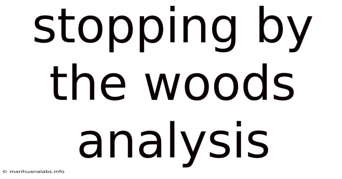 Stopping By The Woods Analysis