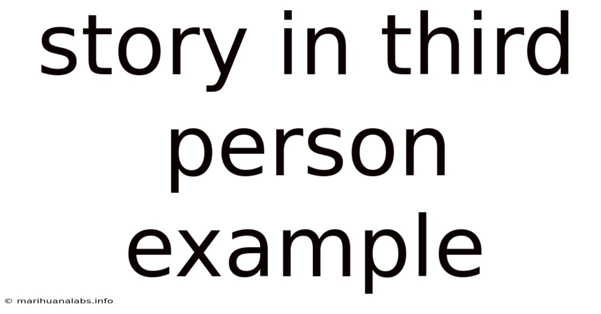 Story In Third Person Example