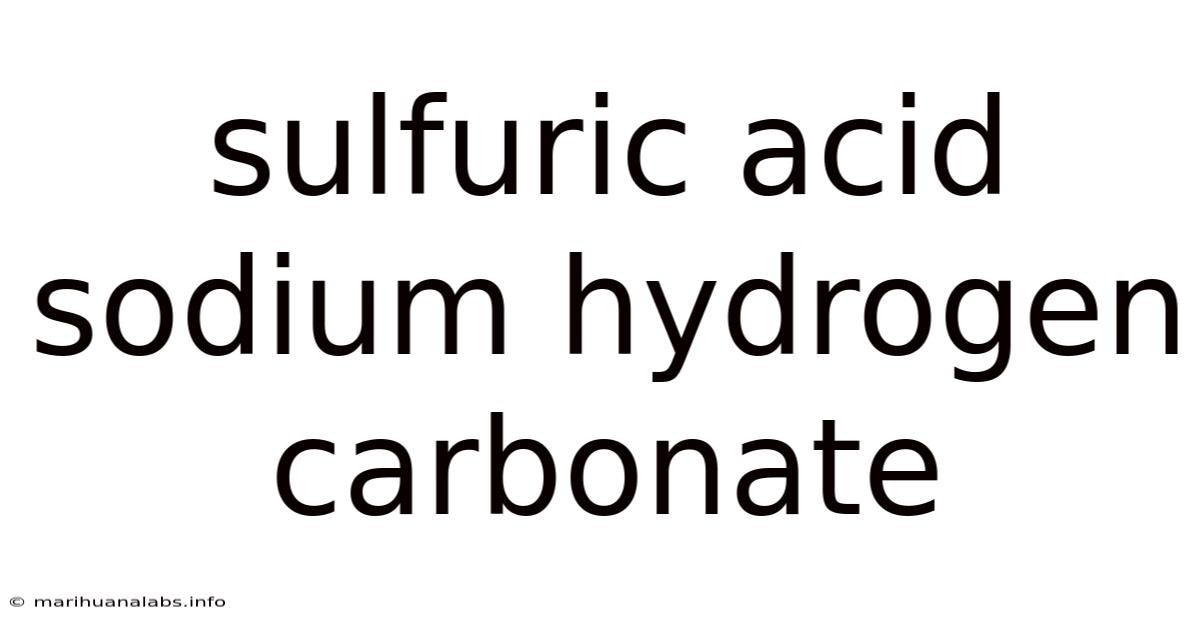 Sulfuric Acid Sodium Hydrogen Carbonate