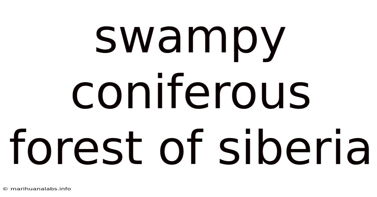 Swampy Coniferous Forest Of Siberia
