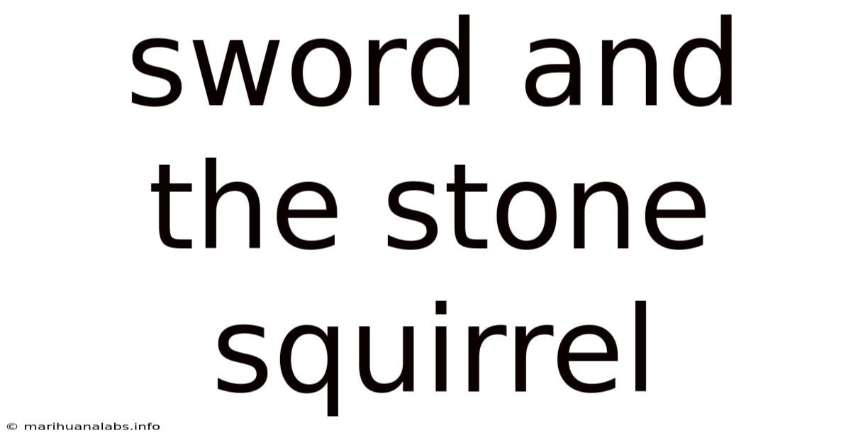 Sword And The Stone Squirrel