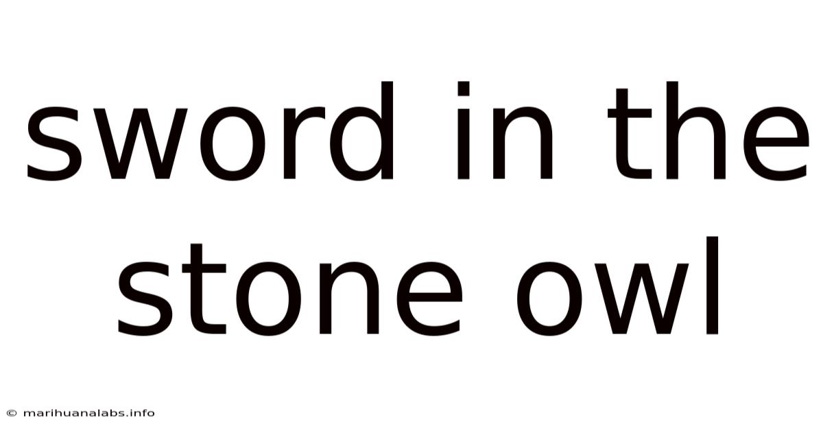 Sword In The Stone Owl
