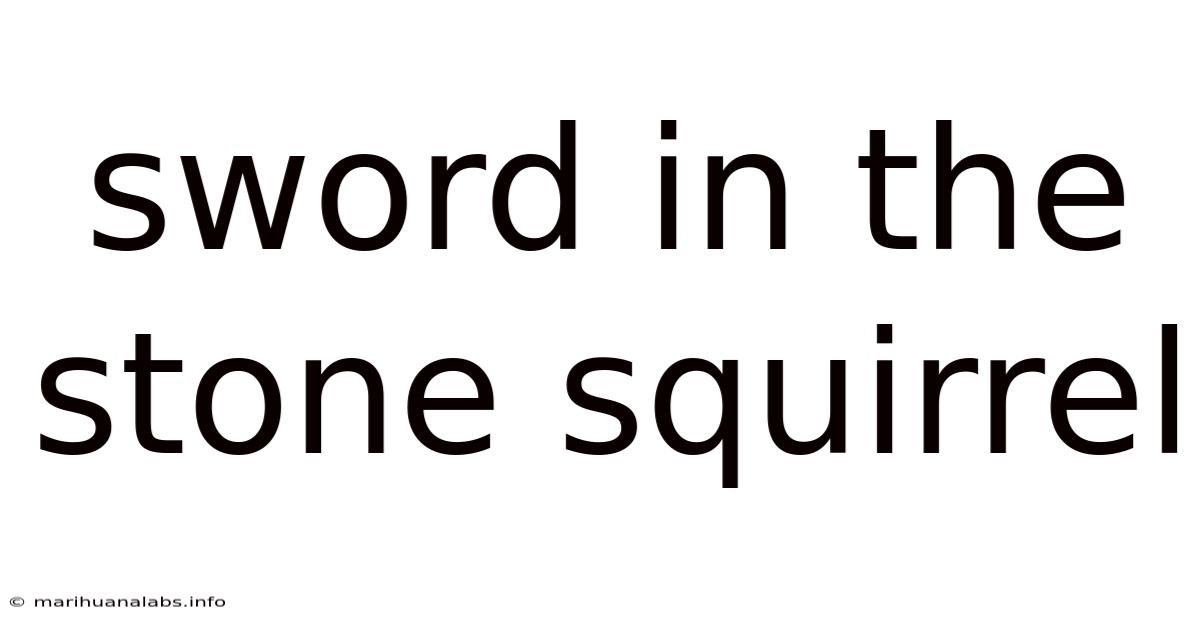 Sword In The Stone Squirrel