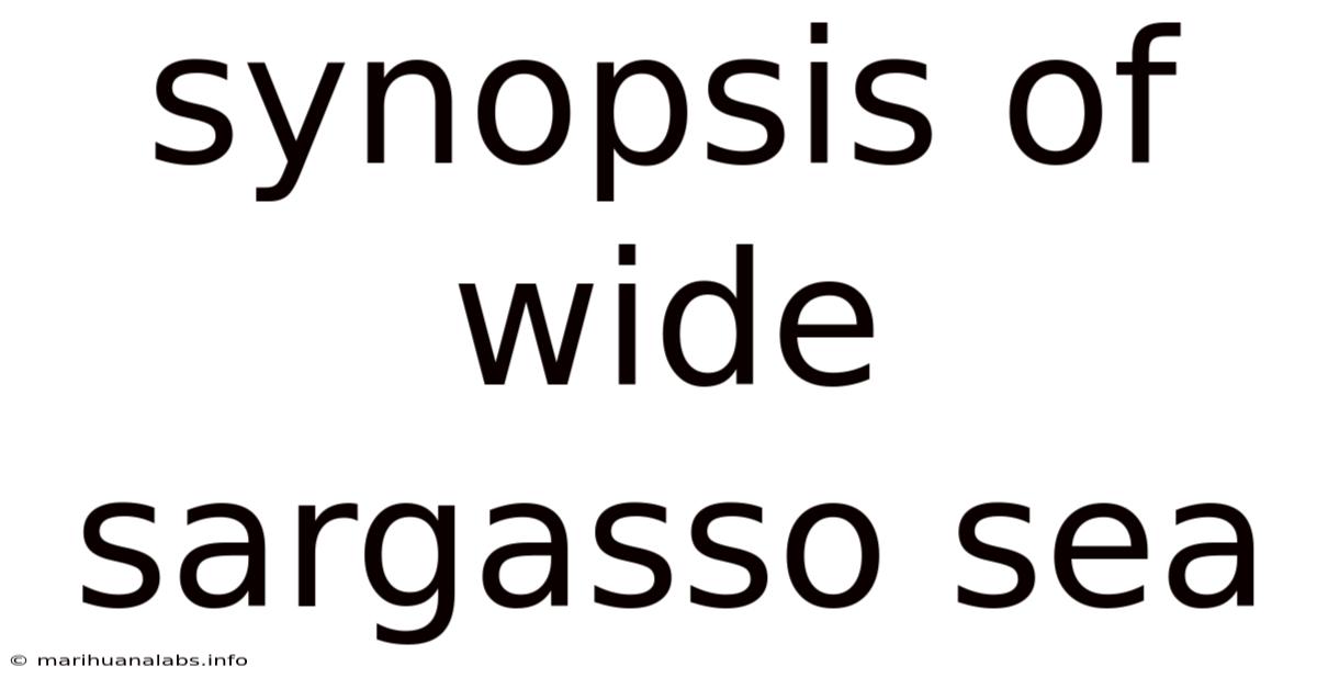 Synopsis Of Wide Sargasso Sea