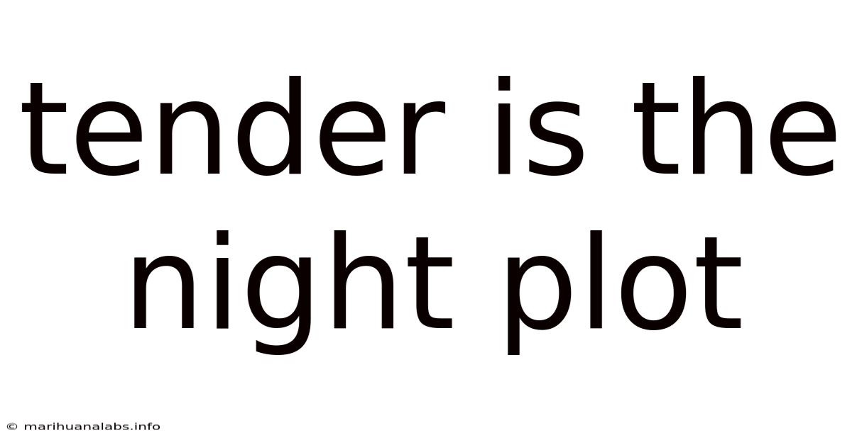 Tender Is The Night Plot