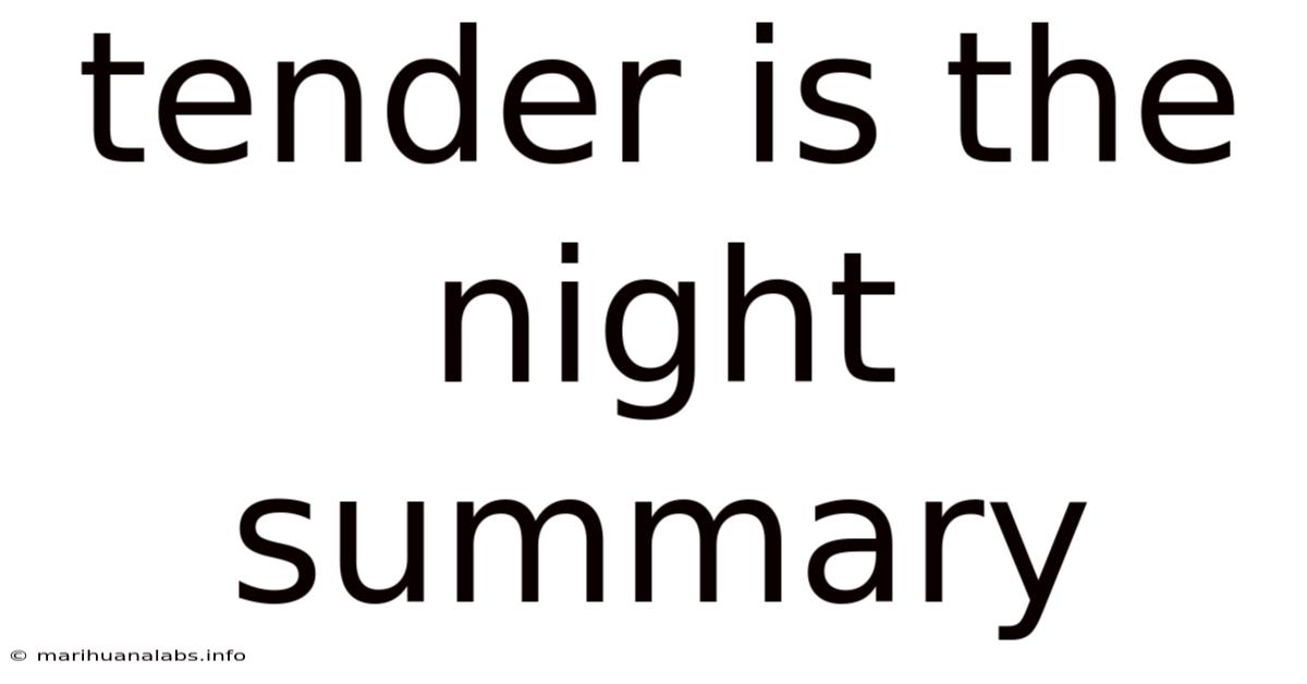 Tender Is The Night Summary