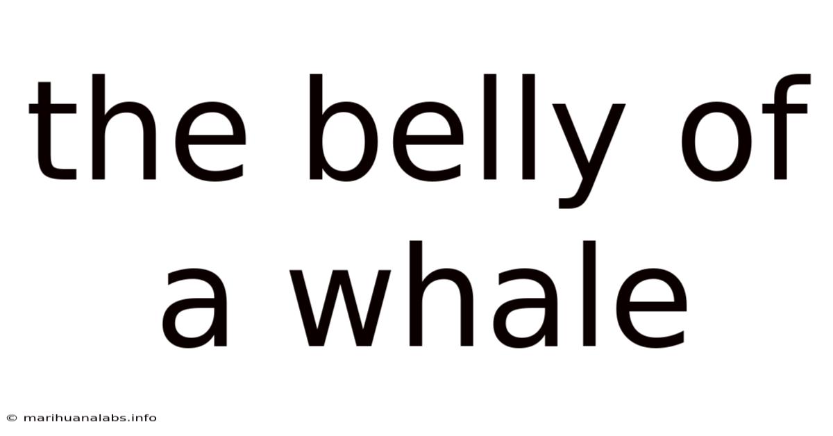 The Belly Of A Whale